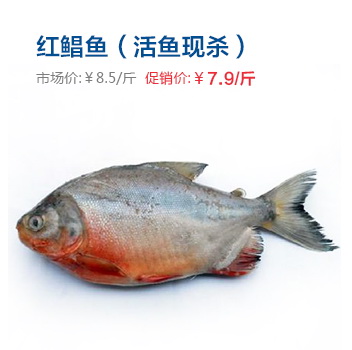 红鲳鱼(活鱼现杀)