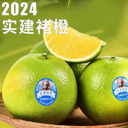 【小象鼎级】【基地直采】2024“实建”褚橙优级果（不催熟，不打药，化渣率高，清甜多汁，一箱直接拍10斤）